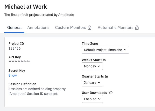 Amplitude project settings